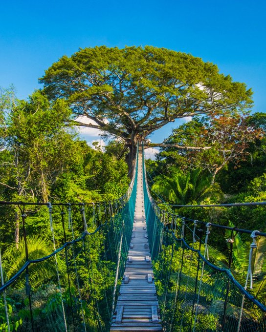 Amazonian Peru