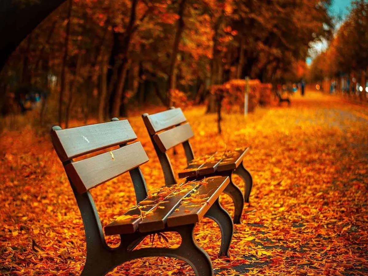 Autumn in Jammu & Kashmir